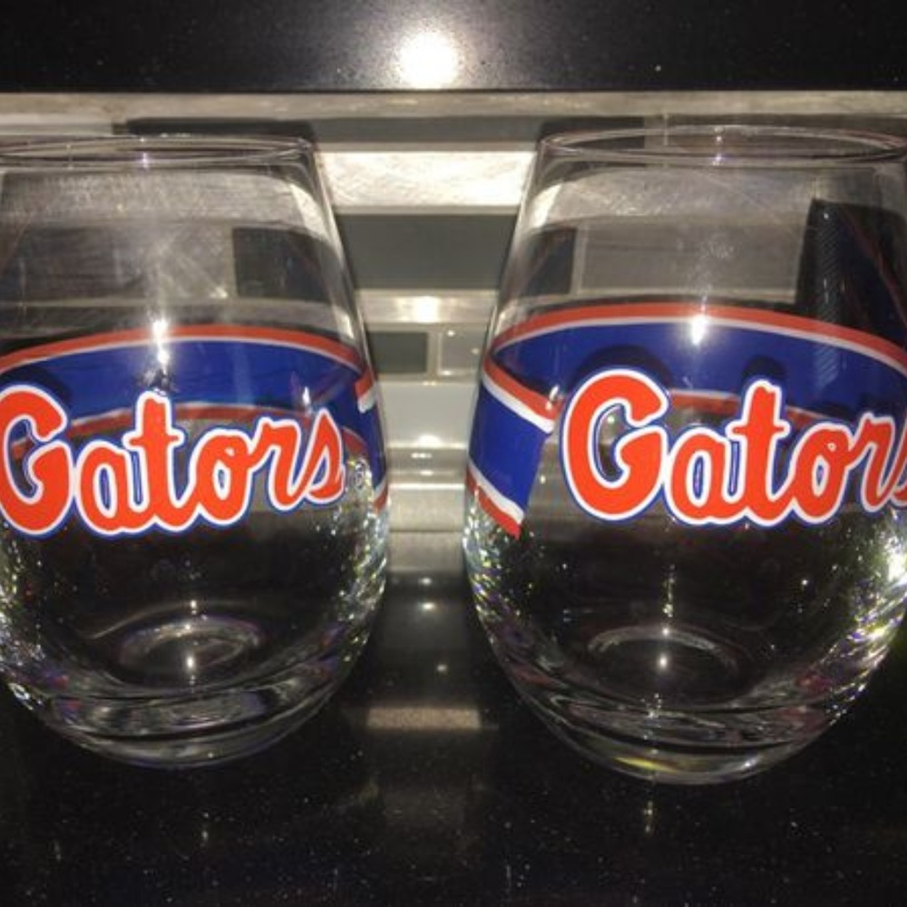 Florida Gators Hand-painted Stemless Glasses